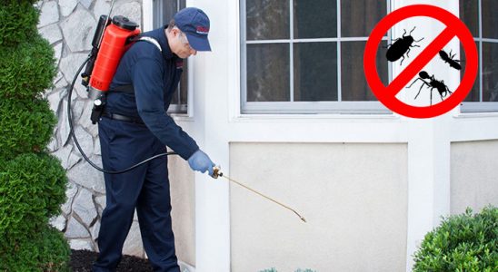 Yenifakılı Dezenfeksiyon böcek ilaçlama ve haşere kontrolü — ilaclama-tr.com